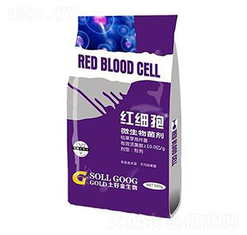 500g΢������� �t��(x��)�� ���ý�