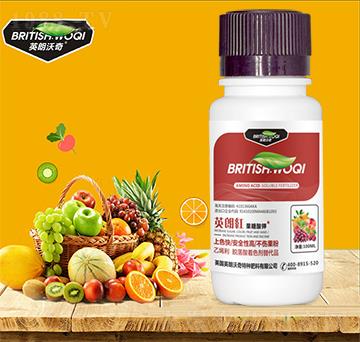 ������� Ӣ�ʼt Ӣ������