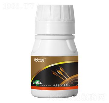 5%ʭ����-�-�S�՘�