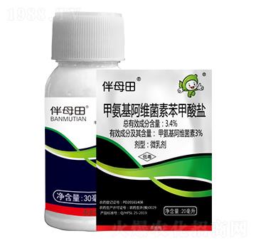 3%�׾S�}-��ĸ��-�S�՘�