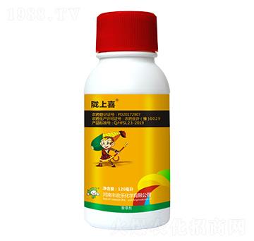 24%����ݬ(��ȫ��)-�]��ϲ-�S�՘�