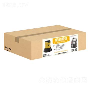 ��������-��̼�����