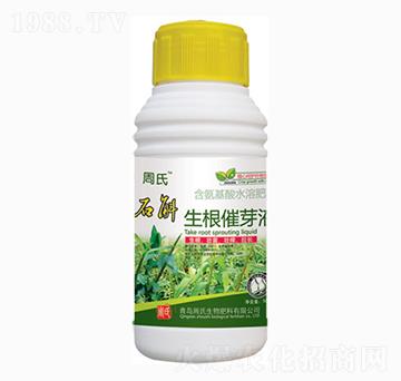 石斛生根催芽液-周氏農化