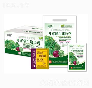 葉菜催生速長劑-周氏農(nóng)化