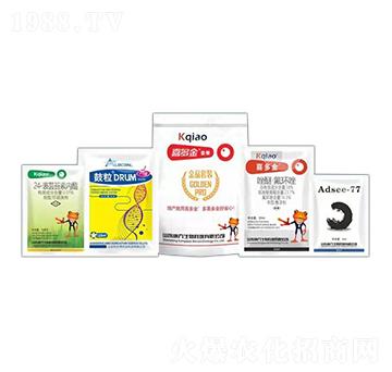 ϲ����ײ� ��������