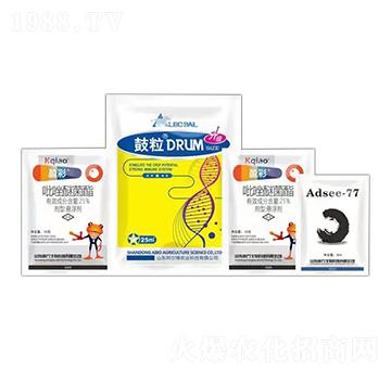 �����ײ� ��������