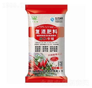 �������÷� ���ۏ�(f��)����� �����_(d��)