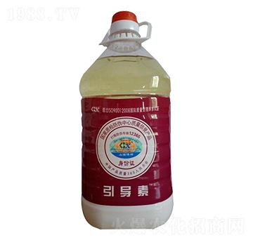 ����(d��o)��-��������