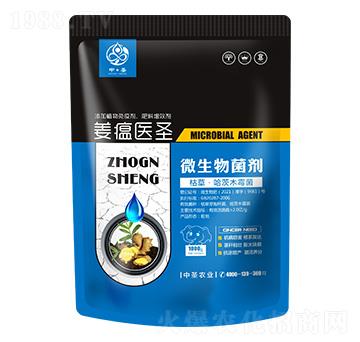 �ݲݡ�����ľù��-�����t(y��)ʥ-��ʥ�r(n��ng)�I(y��)