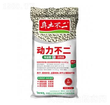 �������� �������� ��ľ������