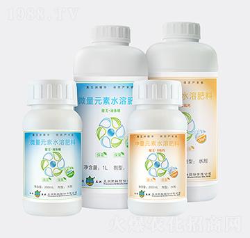 �����ϼ�-�¾S����