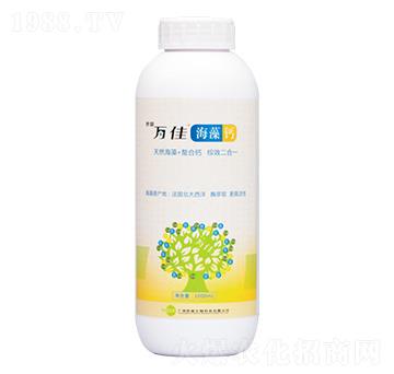 �����}-�f��-�������