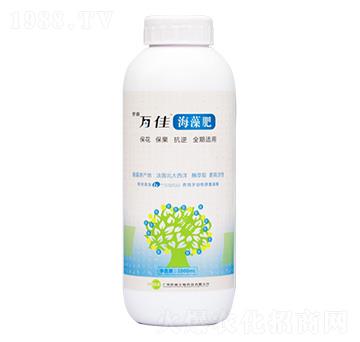 �����-�������