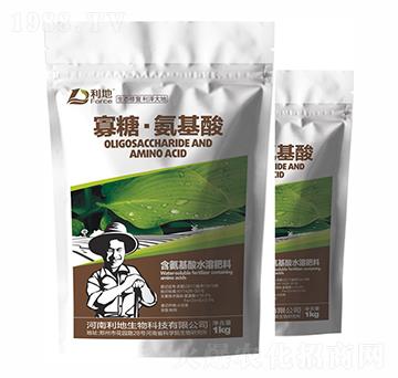 ���ǡ�������-��������