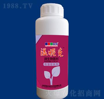 ΢�������-���ݿ�-�{��r(n��ng)�I(y��)