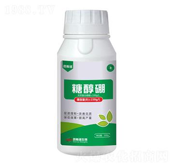 �Ǵ���-��˹�Z