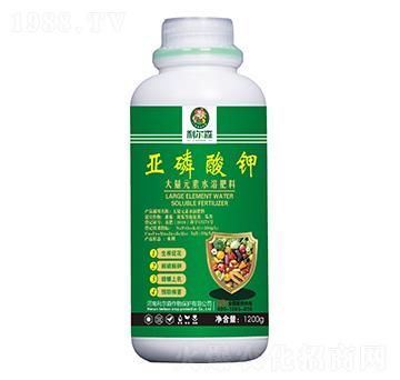 �������-����ɭ