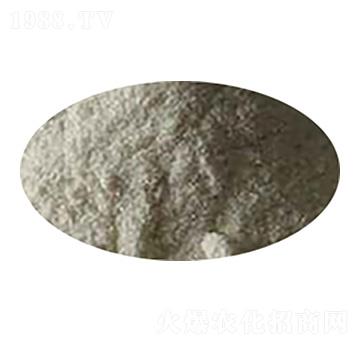 ���ᶡ���-���A