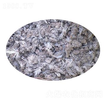 ���ӼS-�f�Z���r(n��ng)�I(y��)