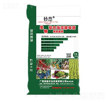 �����ЙC(j��)��-��B(t��i)-��(r��n)���r(n��ng)�I(y��)