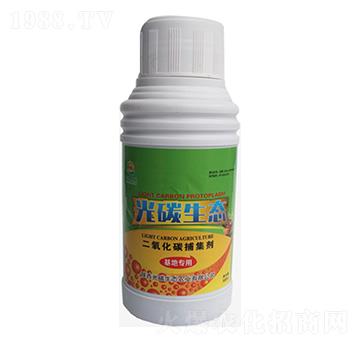 ������̼������-��̼���B(t��i)-�_���r�I(y��)