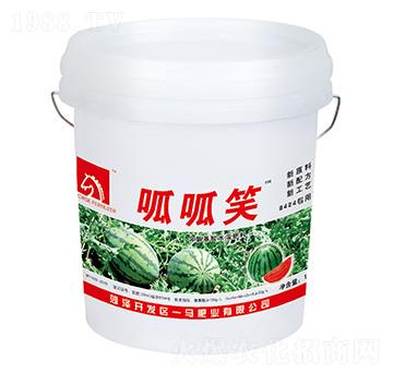 ����Ц-һ�R���B(t��i)