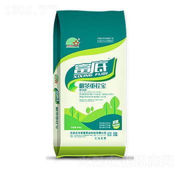 ���o�ز猚��(f��)���������-����-ϣ�ǷʘI(y��)