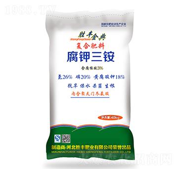 ������@26-20-1