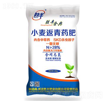 С������ˎ��-���S���