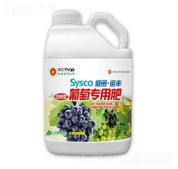 ���������ь�(zhu��n)�÷�-ʢ������