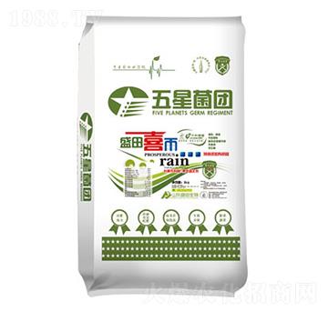 �_�S��-ʢ������