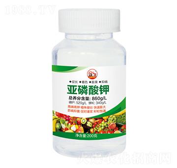 �������-ʢ������