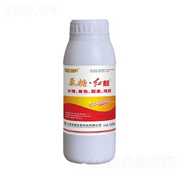 1000g���ǡ��t�n-