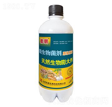 ��Ȼ�������-����-