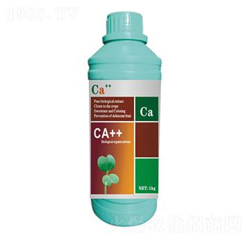 �����ЙC(j��)���}��-�Ǵ��}-����S