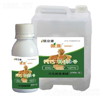 ���u3̖-������-�����r�I(y��)