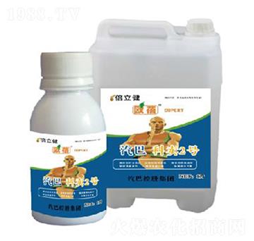 ���u2̖-������-�����r(n��ng)�I(y��)