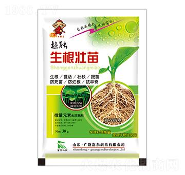 ��������-�����Ƽ�