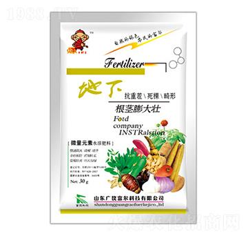 地下根莖膨大壯-富爾科技