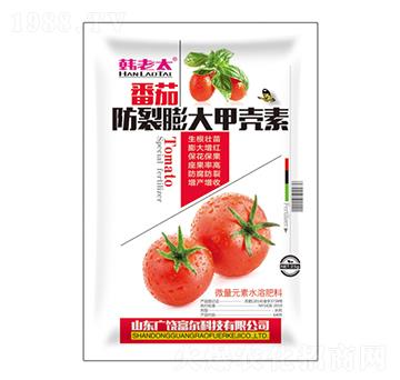 番茄防裂膨大甲殼素-富爾科技