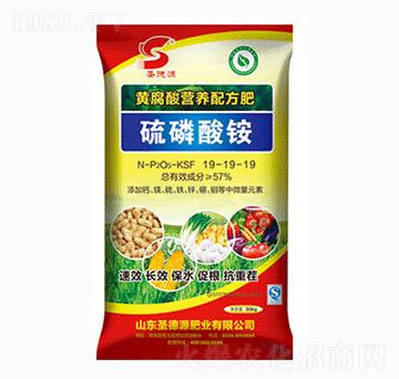 �������@19-19-19-ʥ��Դ