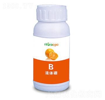 Һ�w��-���_�_