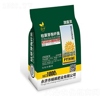 �ݲ�ѿ�ߗU��-�����`-��˲