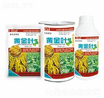 ��ɫ���S��-�S���~-��(gu��)