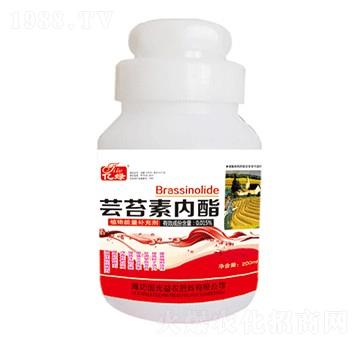 200ml�|̦�؃�(n��i)��-