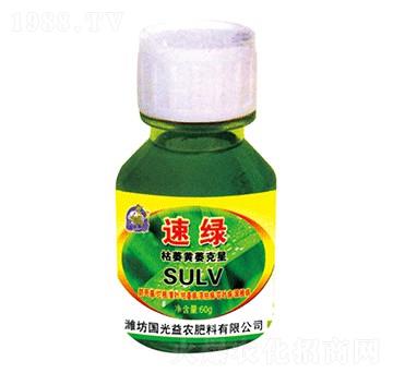 ��ή�Sή����-�پG-��(gu��)