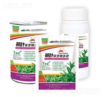 ���~��ѿ�۶��սM��-��(gu��)