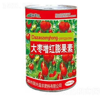 �����t�����-��(gu��)����