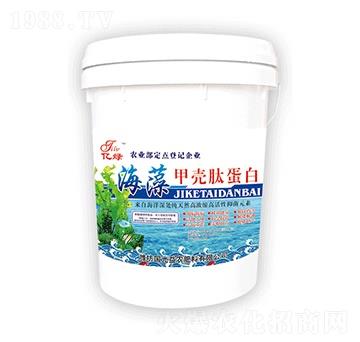 ����ך��ĵ���-��(gu��)����