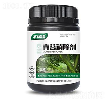 ��̦������-�r���S-���ճ�